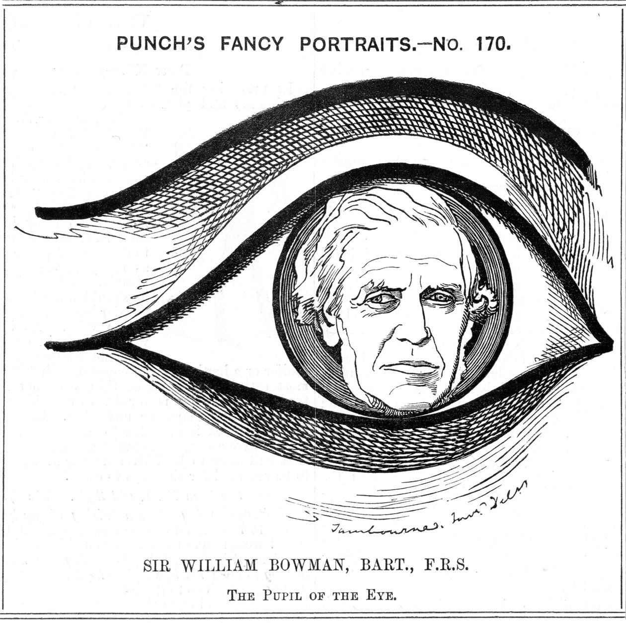 William Bowman, engelsk anatom, kirurg og øjenlæge, 1884 af Edward Linley Sambourne