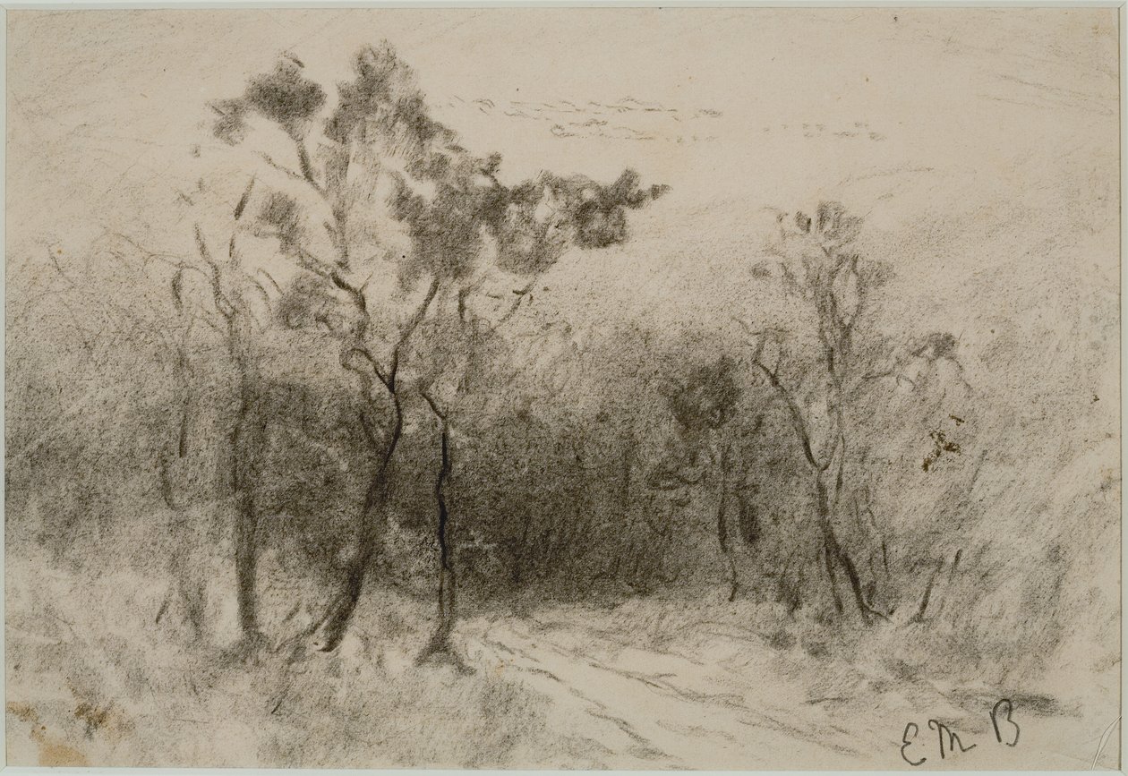 Landskab med sti (#51), ca. 1880