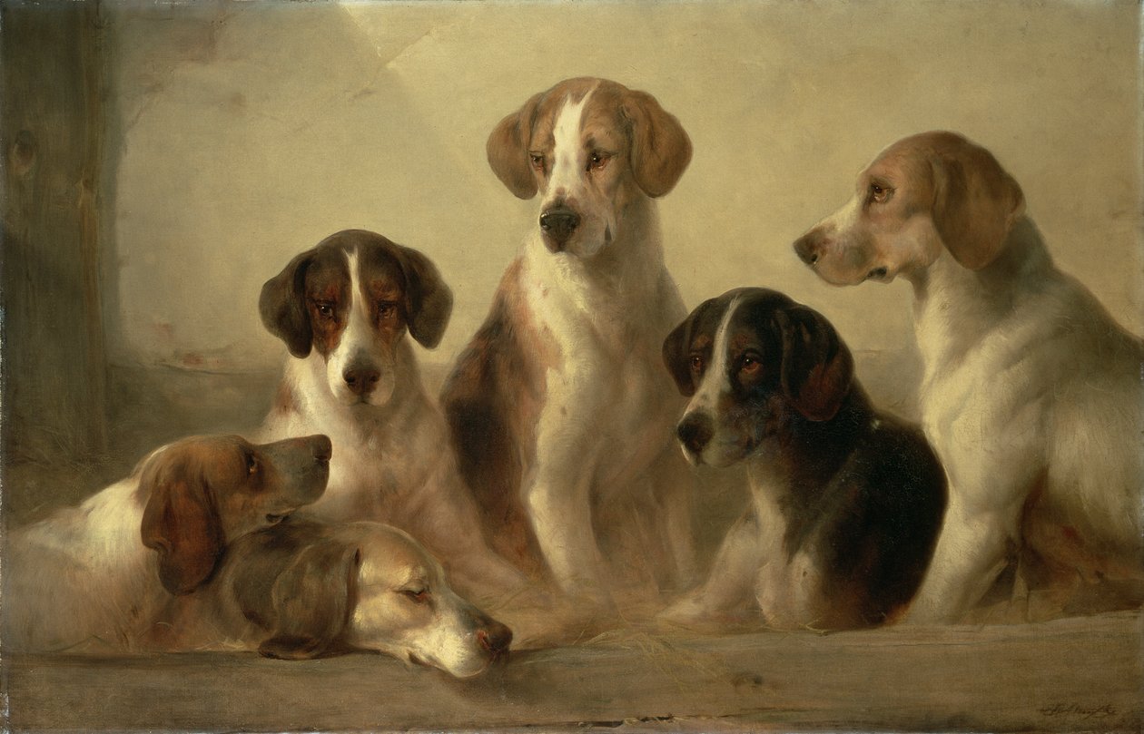 Hunde af Edward Robert Smythe