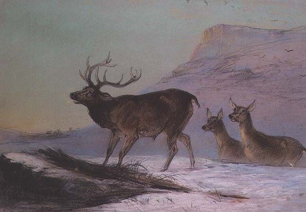Vinter (pastel) af Edward Robert Smythe