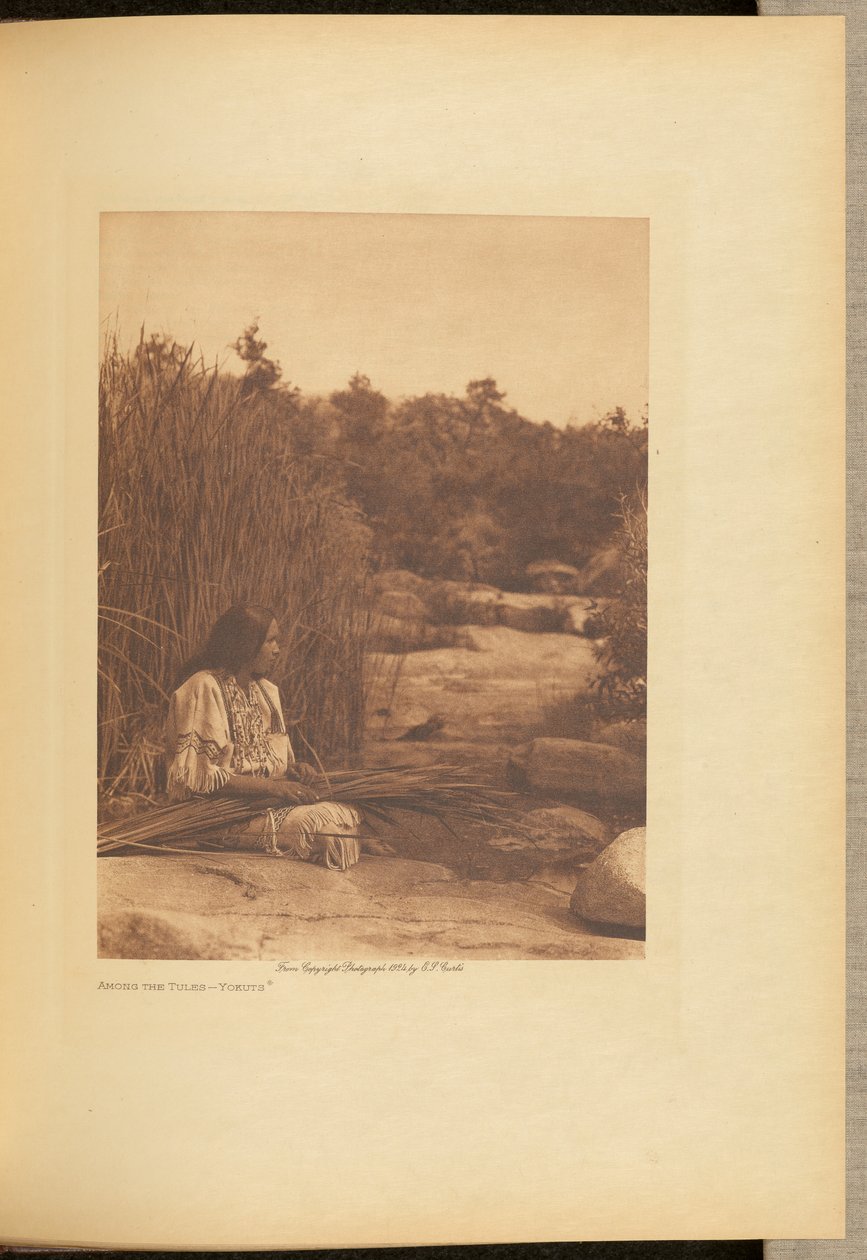 Blandt tulipanerne - Yokuts af Edward S. Curtis