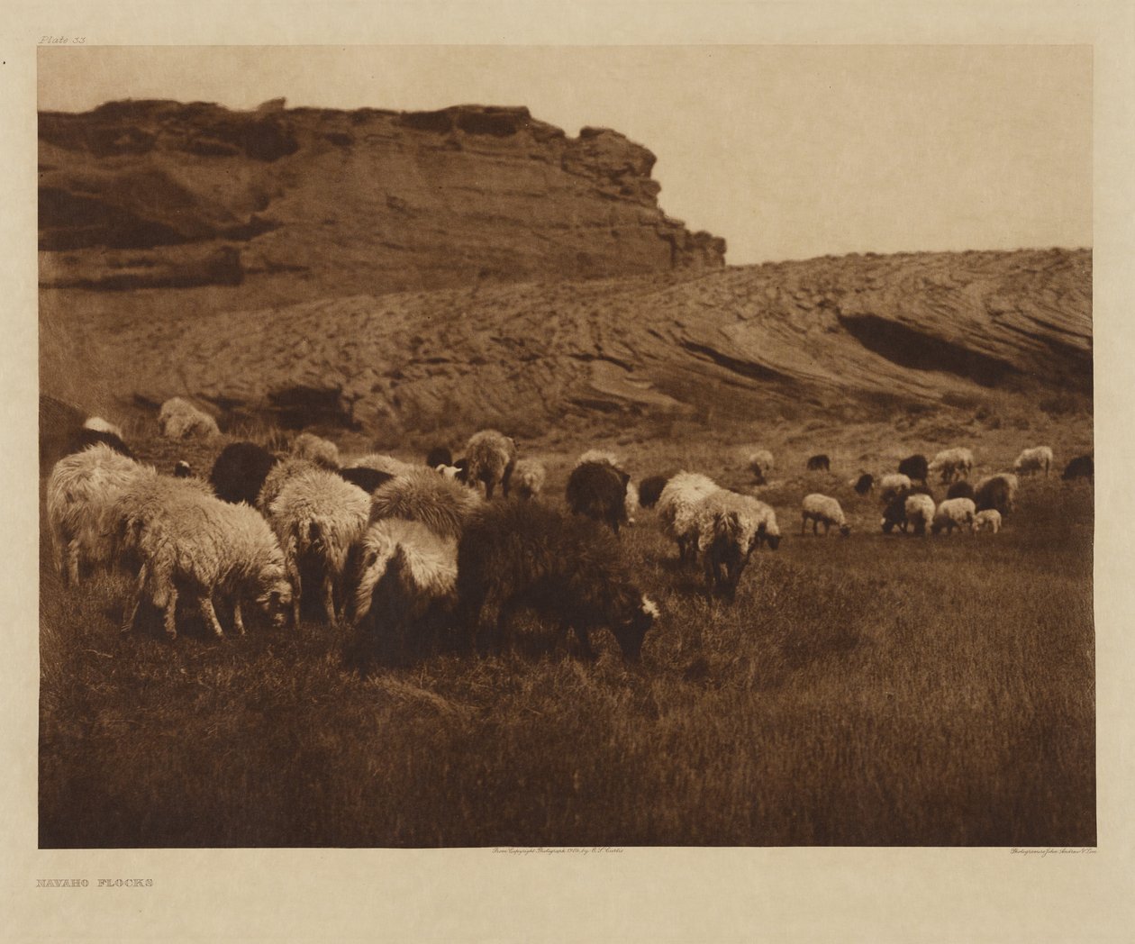 [Navajo-hjorde] af Edward S. Curtis