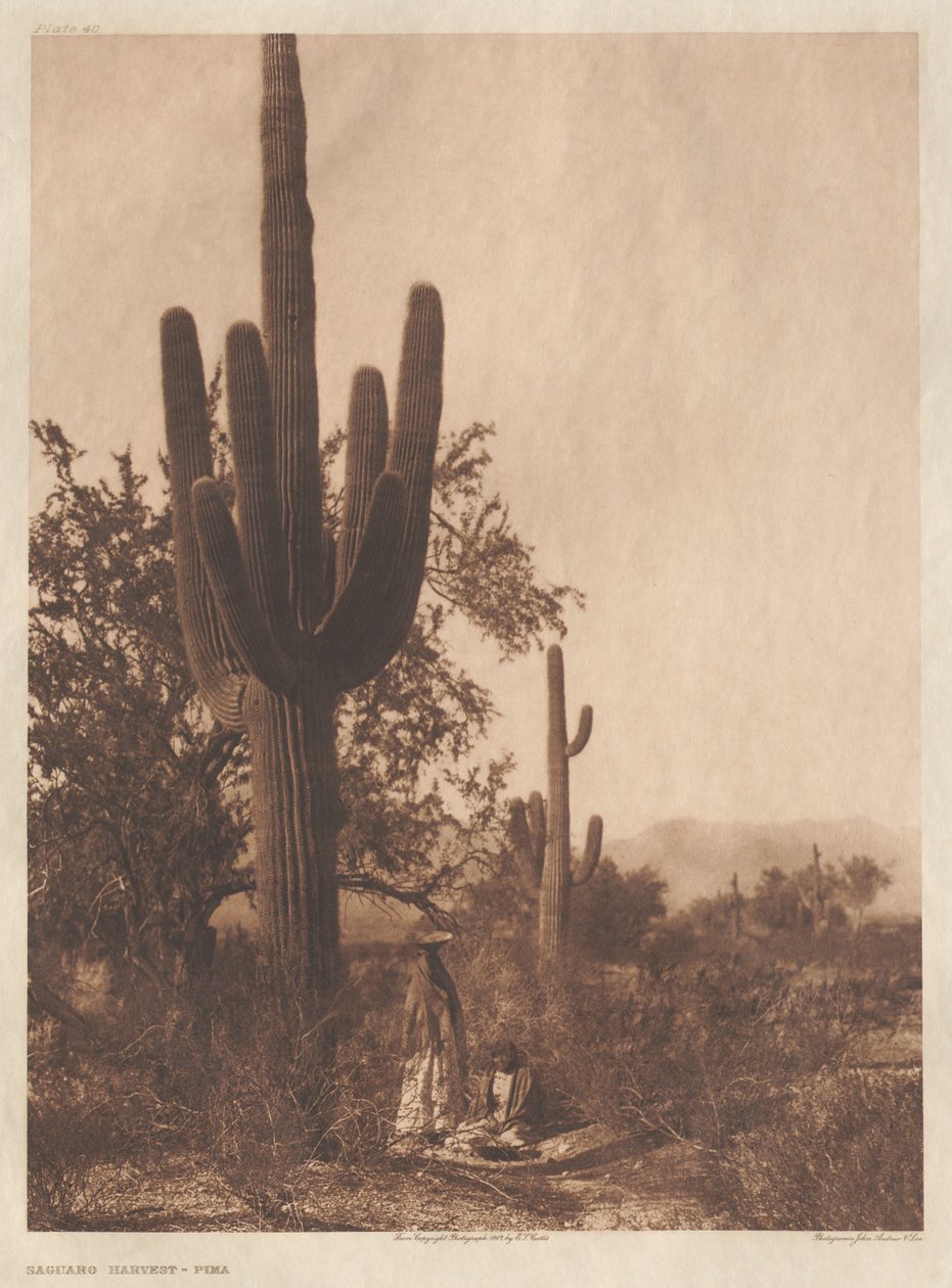 Mappe II, plancher 40-75 af Edward S. Curtis