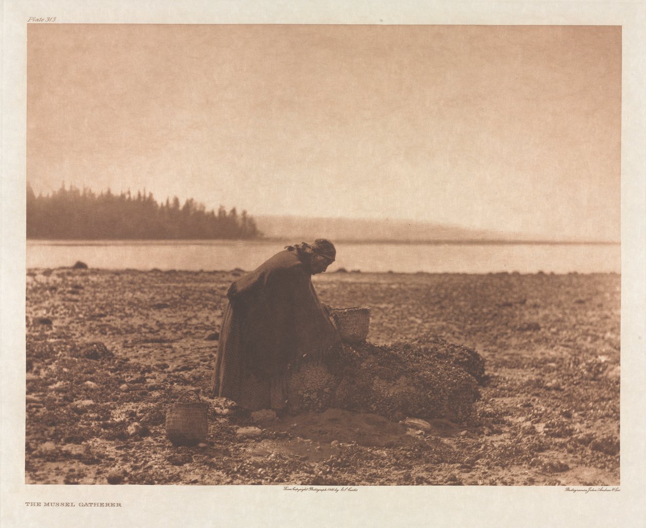 Portfolio IX, tavle 313: Muslingesamleren af Edward S. Curtis