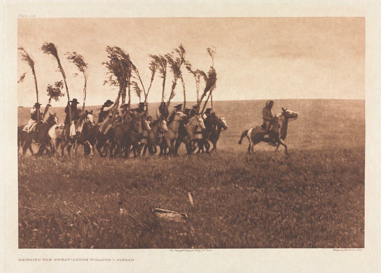 Portfolio VI, Plade 205: Bringing the Sweat-Lodge Willows - Piegan af Edward S. Curtis