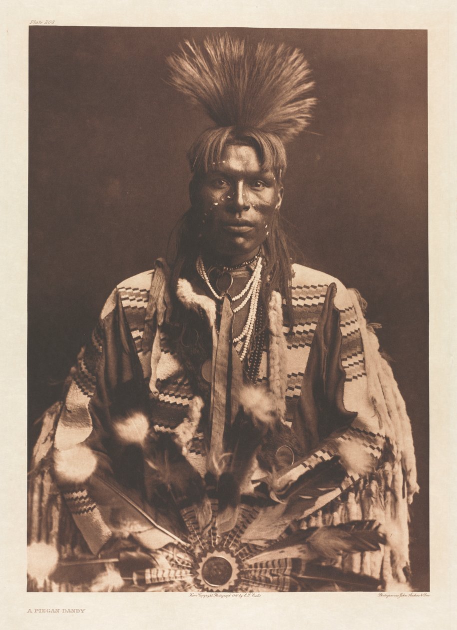 Portfolio VI, Plade 208: A Piegan Dandy af Edward S. Curtis