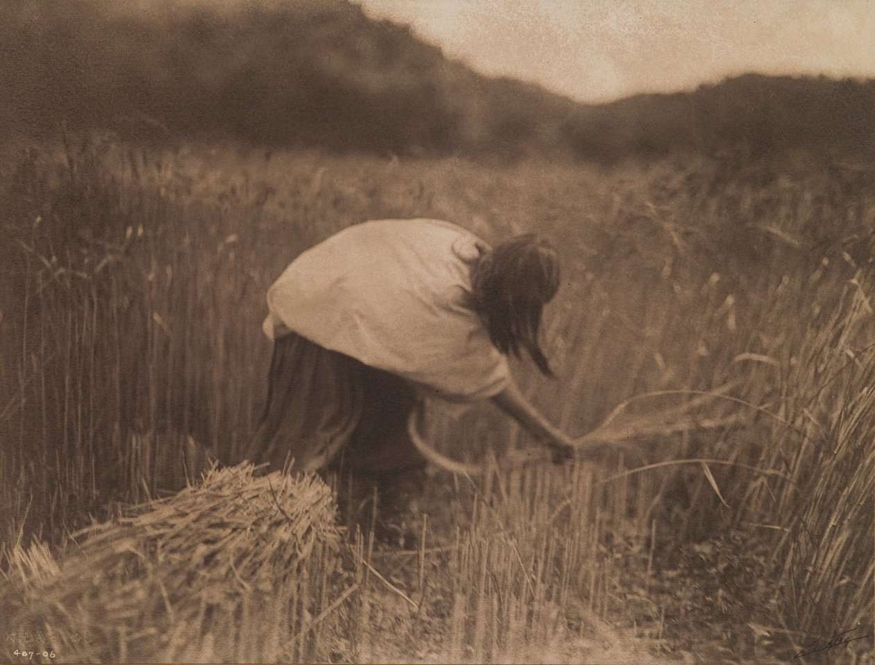 Apache Reaper af Edward S. Curtis