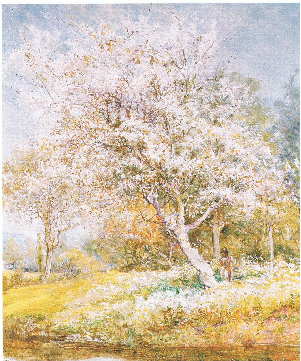 Indsamling af blomster, fra magasin eller bogkilde ukendt (farve litho) af Edward Samuel Harper