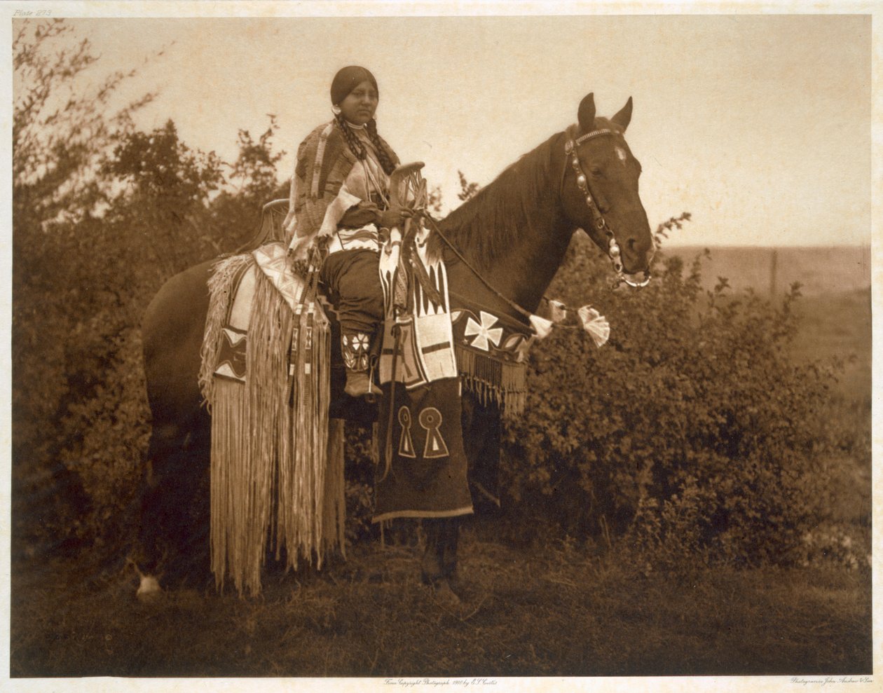 Feriefælder - Cayuse af Edward Sheriff (after) Curtis