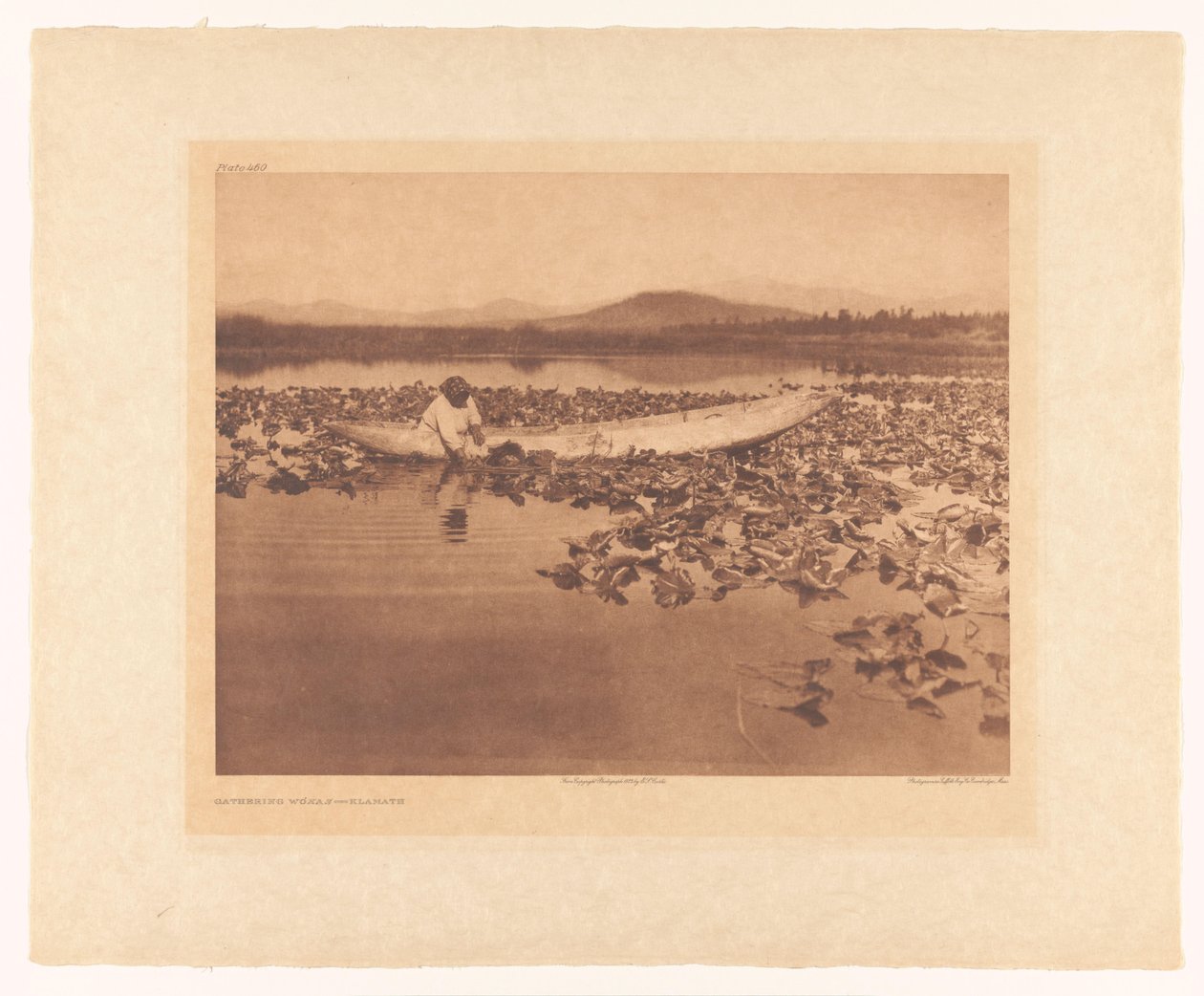 Indsamling af wokas – Klamath af Edward Sheriff Curtis