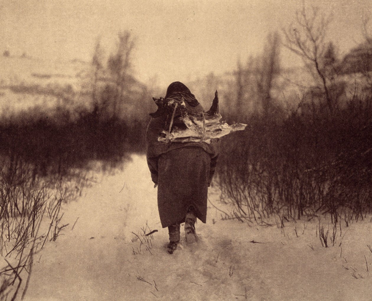 Går på lejr. En apsaroke-indianer, der bærer træ i sneen, i en lille vinterlejr nær en å i Pryor-bjergene, Montana. Foto taget fra bind 4 af encyklopædien udgivet af Edward S. Curtis (1868-1952) om indianerne i Nordamerika, med af Edward Sheriff Curtis