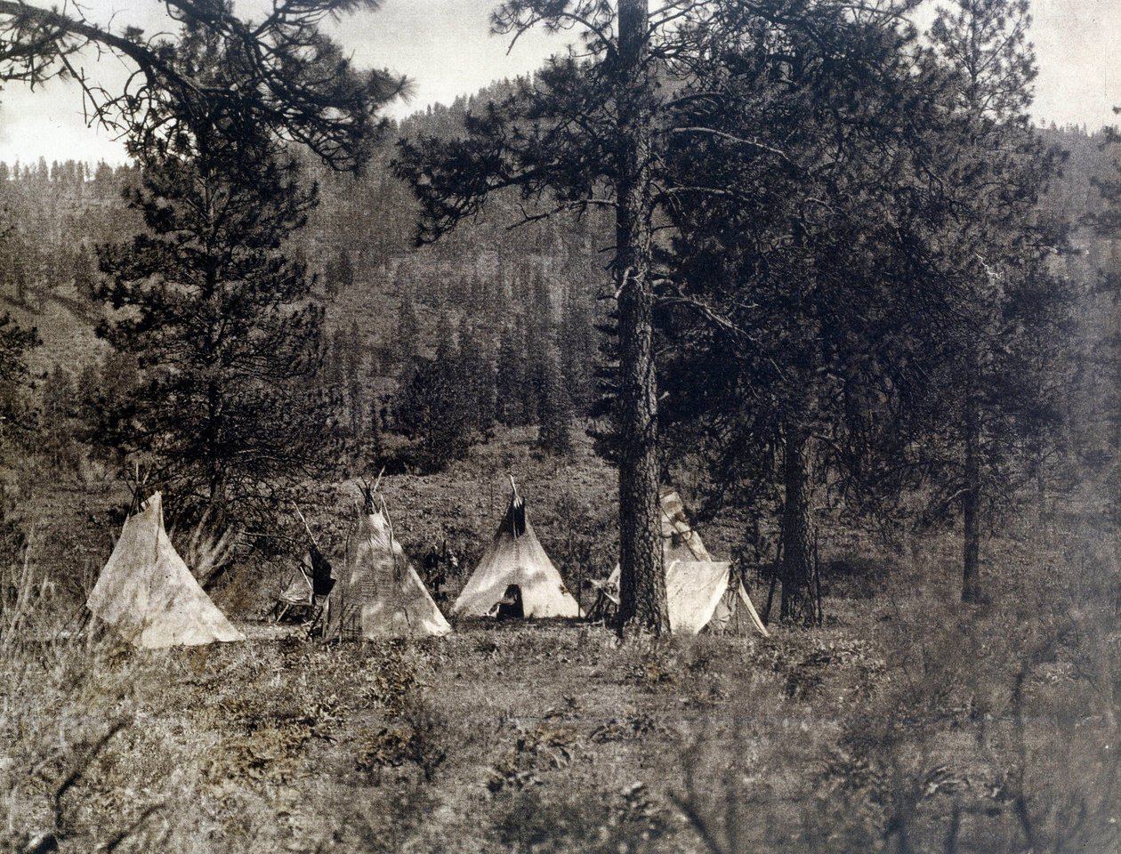 Indian of America: Spokane-indianernes lejr af Edward Sheriff Curtis