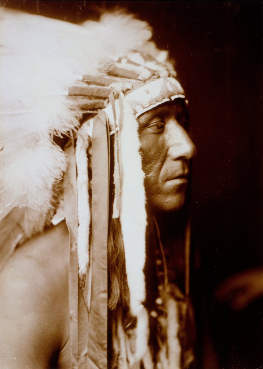 Pretty Paint af Edward S. Curtis af Edward Sheriff Curtis