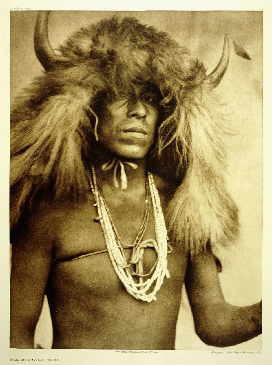 Begge Buffalo Mask af Edward Sheriff Curtis