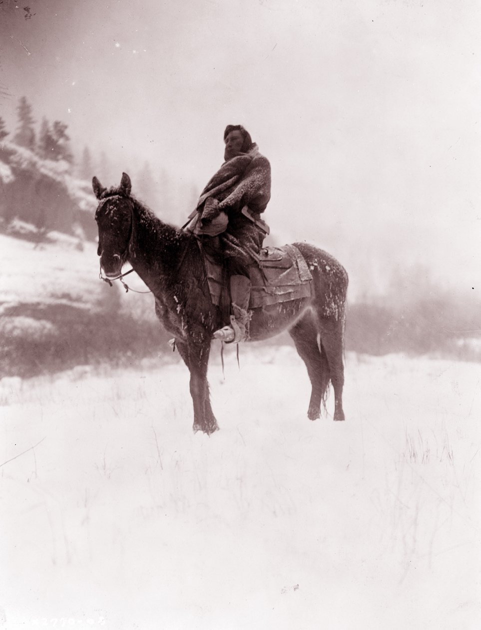 Spejderen om vinteren, Apsaroke af Edward Sheriff Curtis