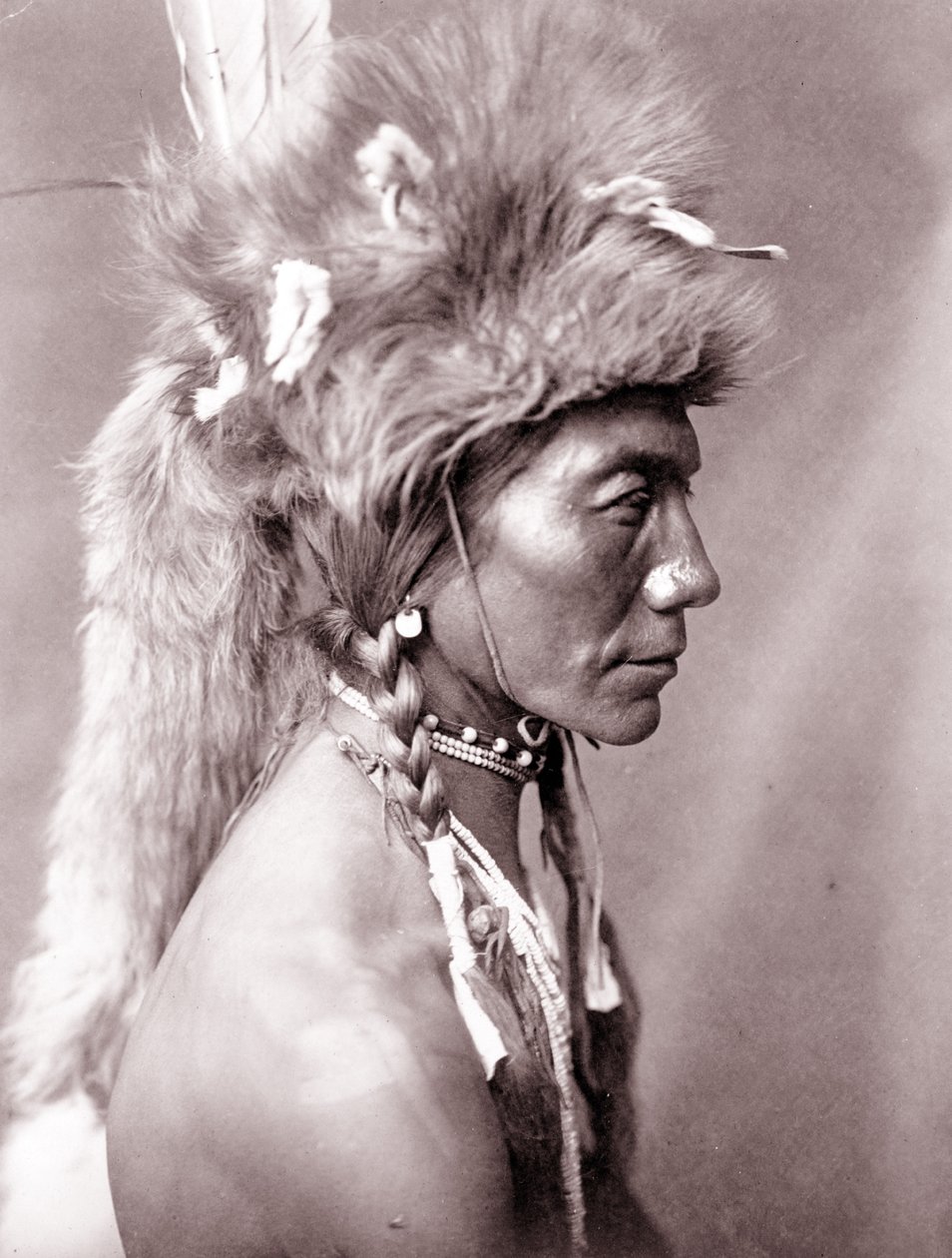 Gul nyre, Piegan af Edward Sheriff Curtis