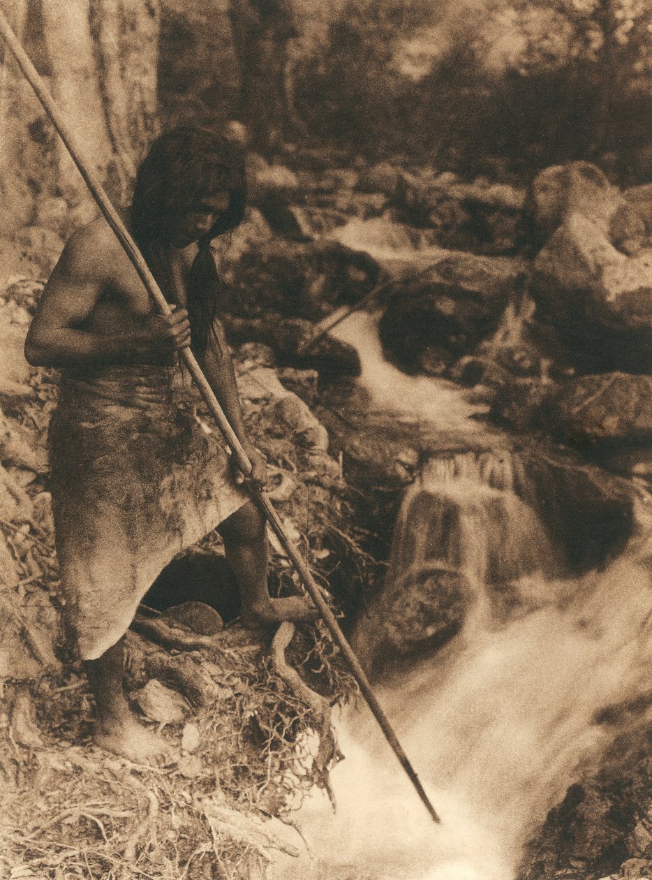 Ung amerikansk indianer fra Hupa-stammen eller -landsbyen fisker laks med en lang pind. Han bærer et dyreskind bundet om sine lænder. Bag ham er der skov og en bæk. af Edward Sheriff Curtis