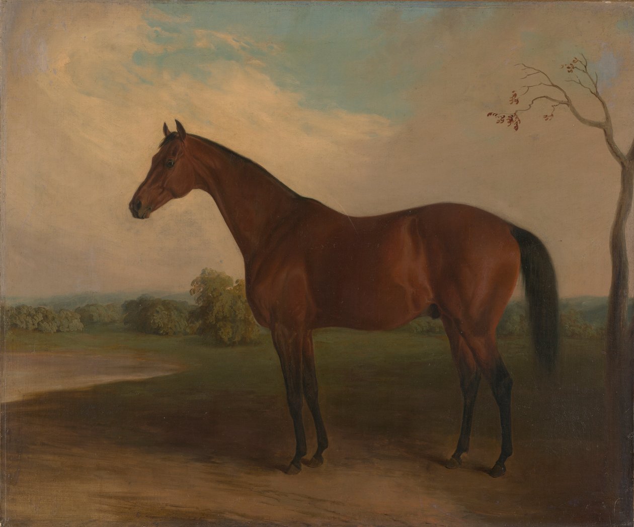 suveræn af Edward Troye