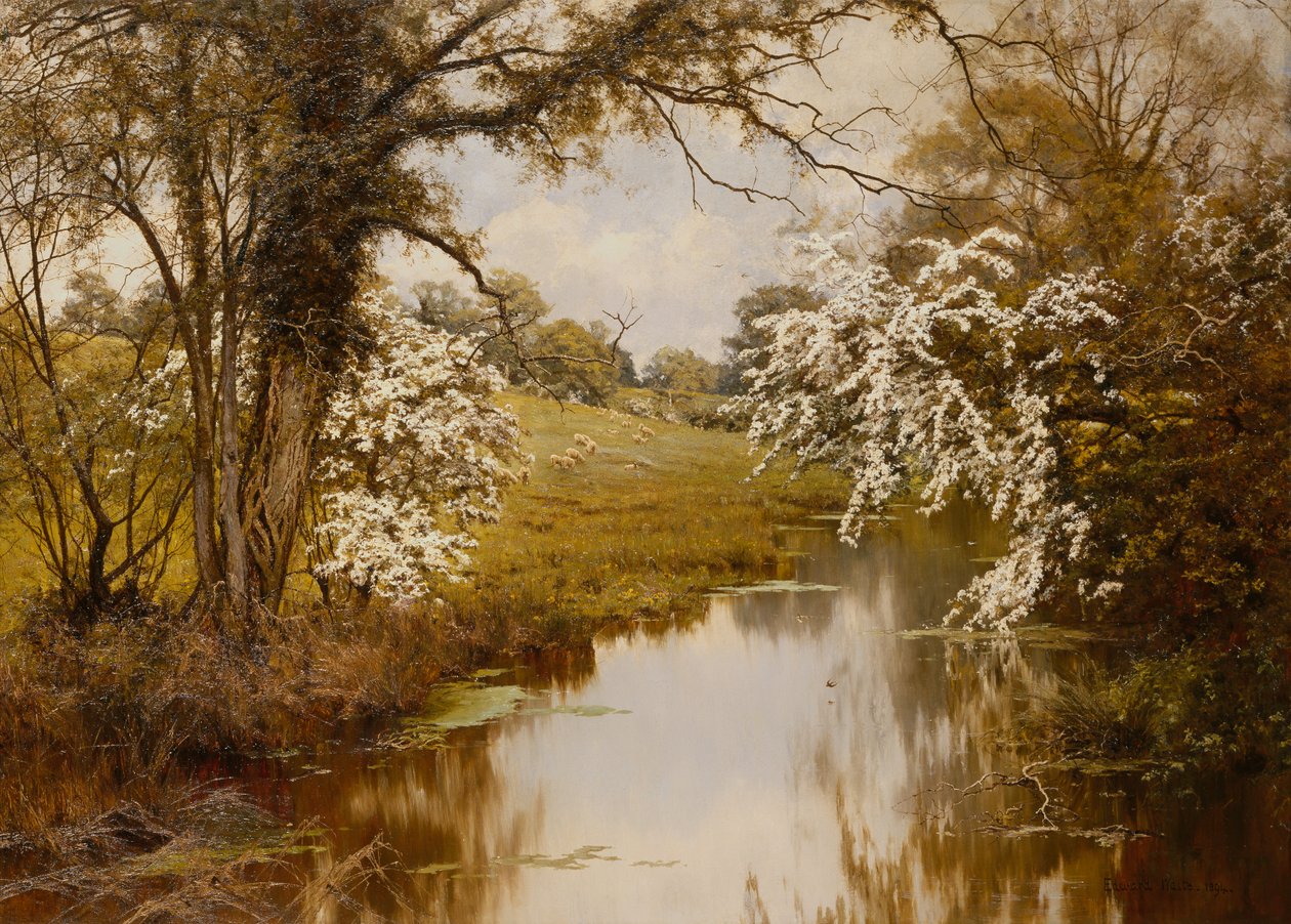Where Spreading Hawthorns Gaily Bloom (olie på lærred) af Edward Wilkins Waite