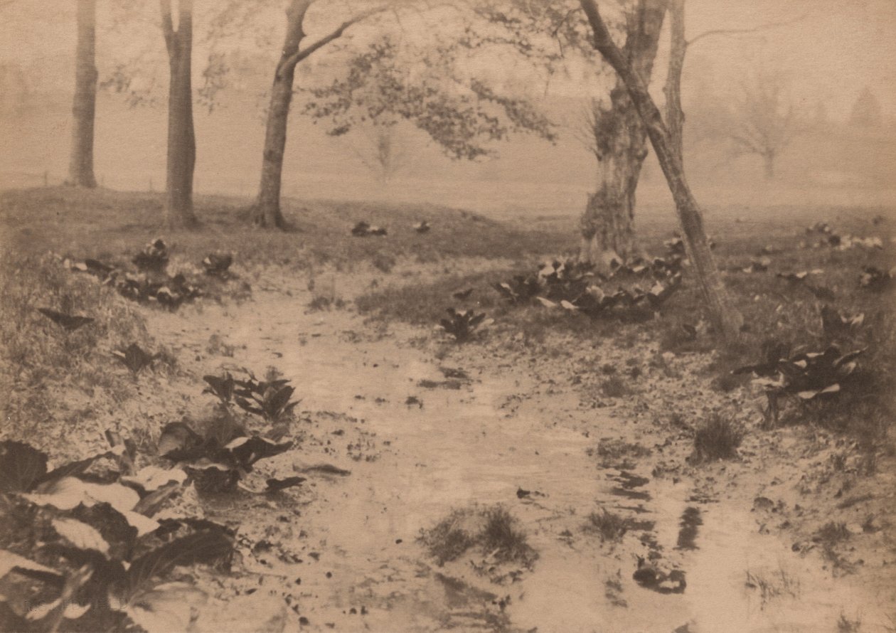 Forårslandskab, 1890