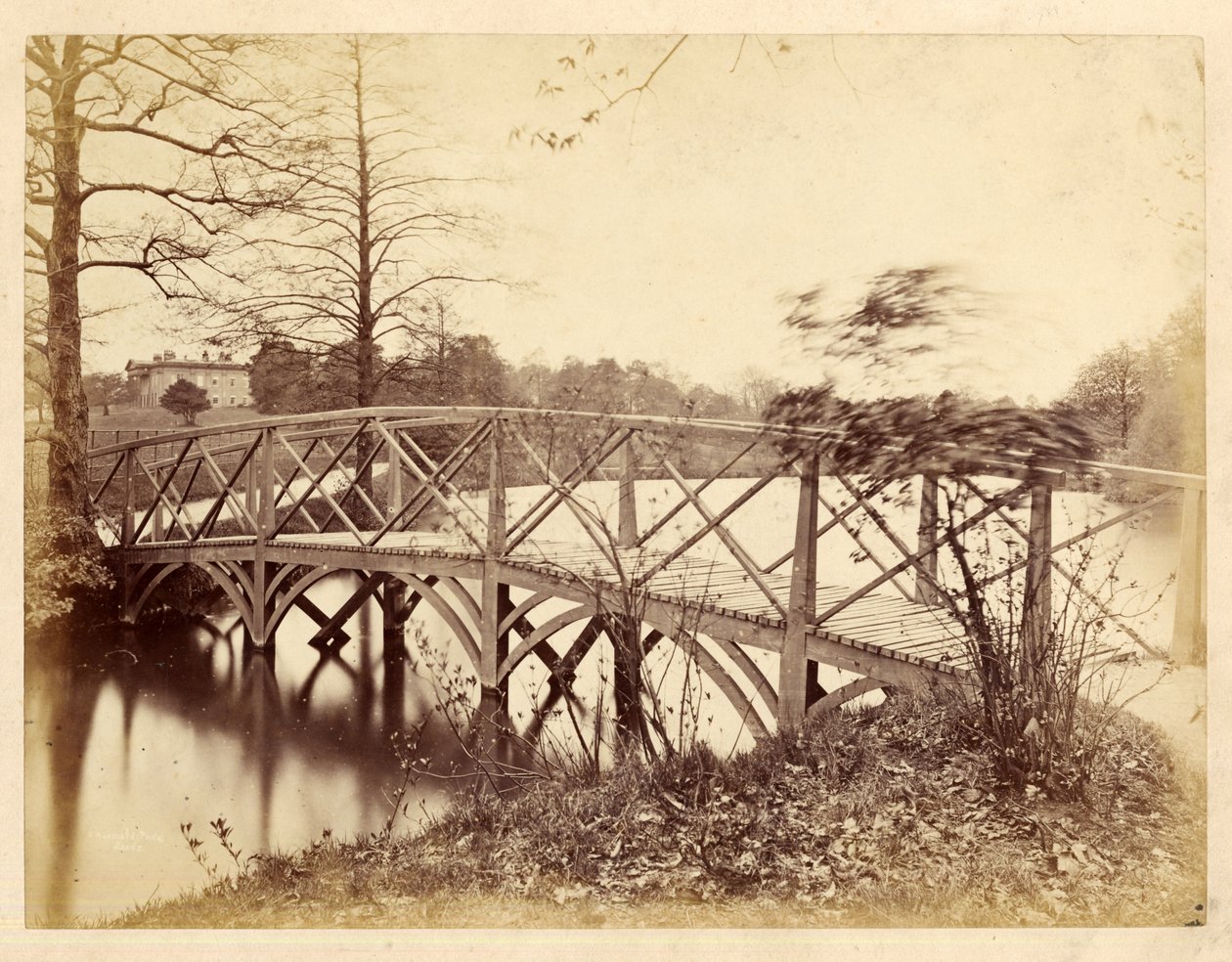 Roundhay Park (s/h foto) af Edward Wormald