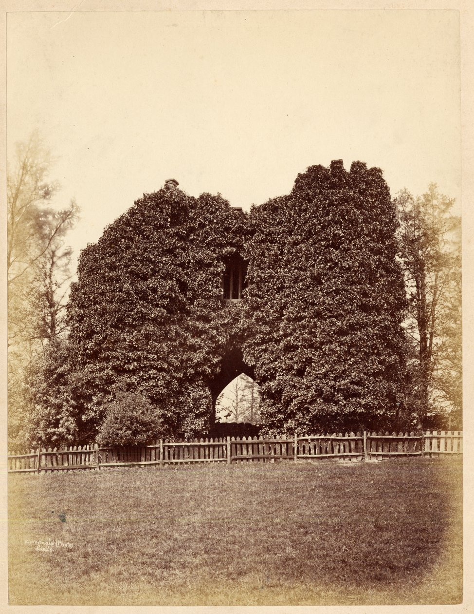 Udsigt over en dårskab i Roundhay Park (albumin print) af Edward Wormald