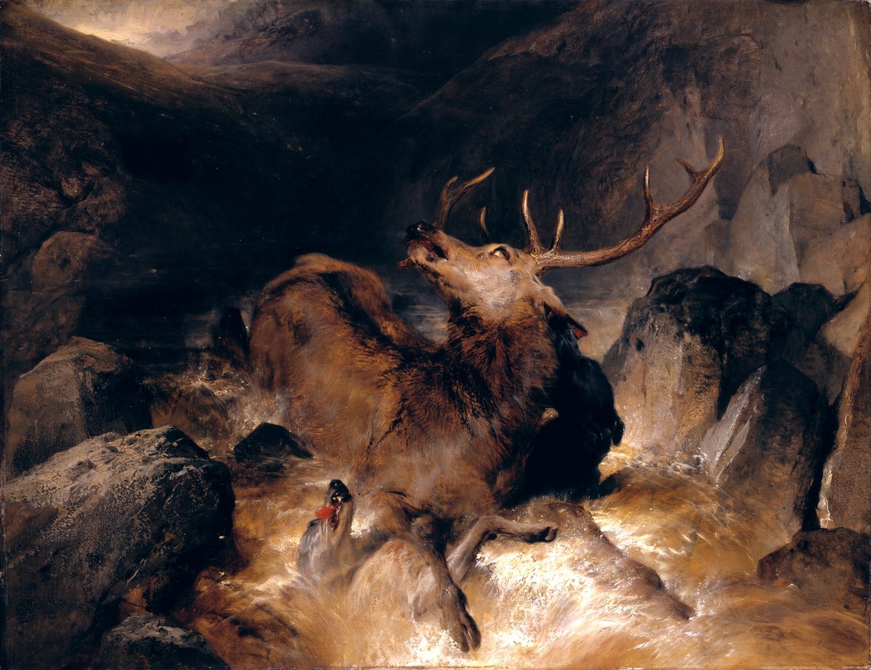 Deer and Deer Hounds in a Mountain Torrent af Edwin Landseer