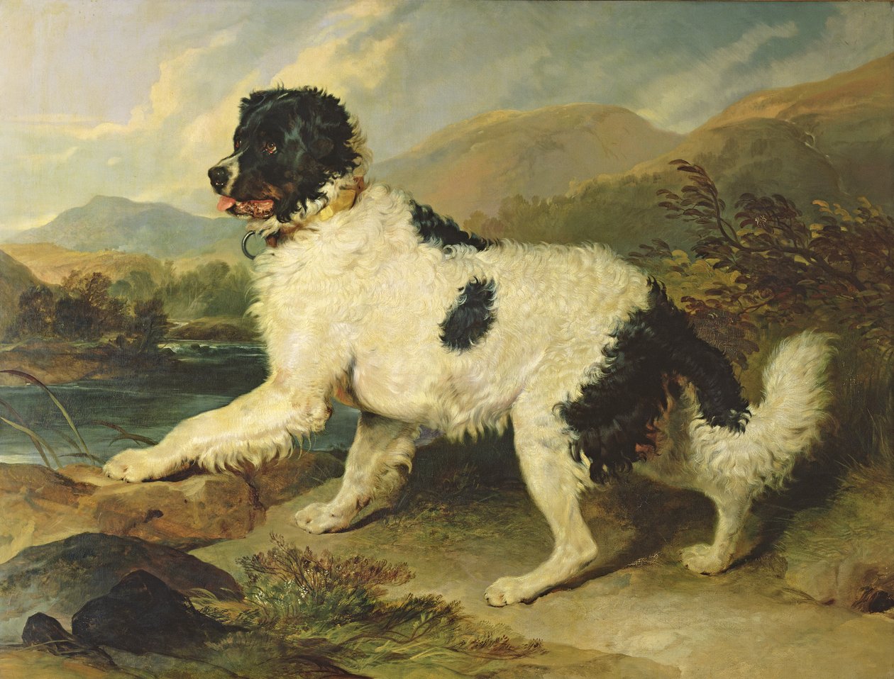 Newfoundlandshund kaldet løve, 1824 af Edwin Landseer