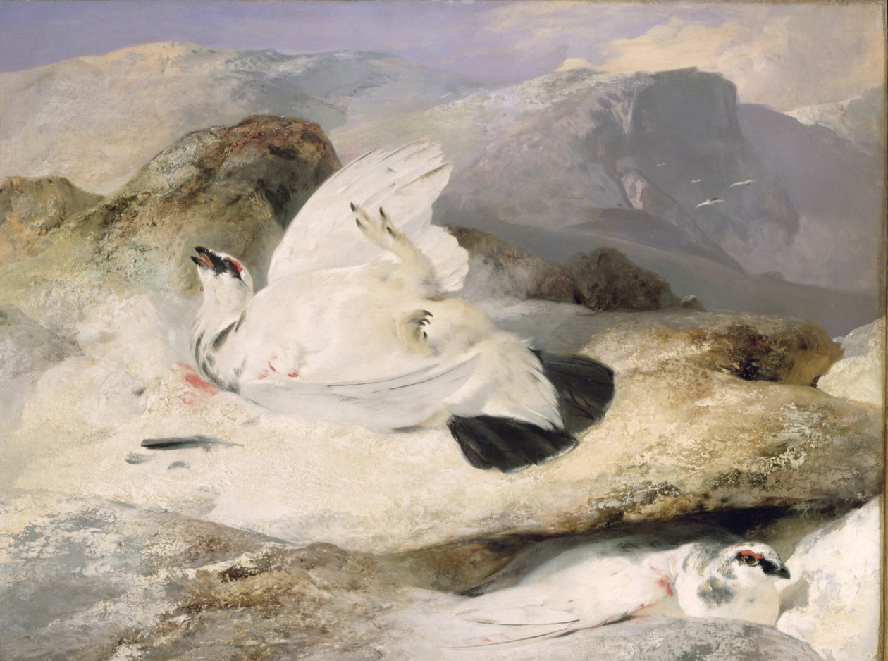 Rype af Edwin Landseer