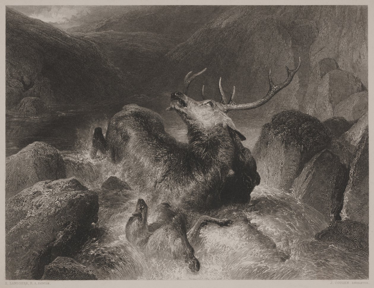 Hjortens død, indgraveret af John Cousen (1804-80) af Edwin (after) Landseer