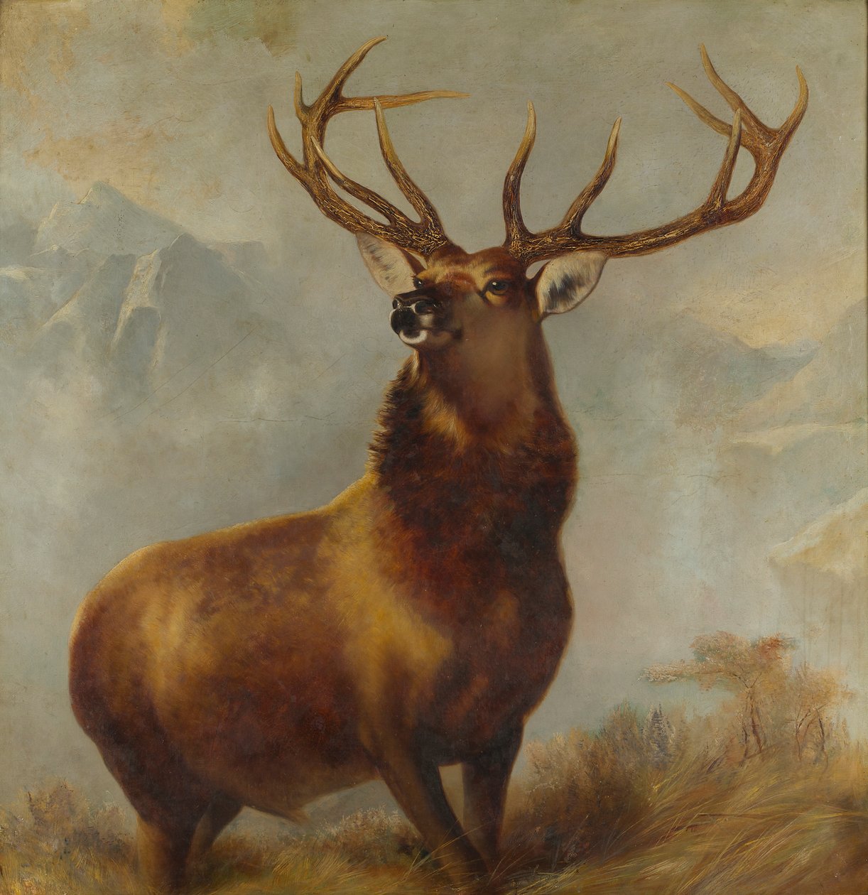 Monarch of the Glen (olie på lærred) af Edwin (after) Landseer