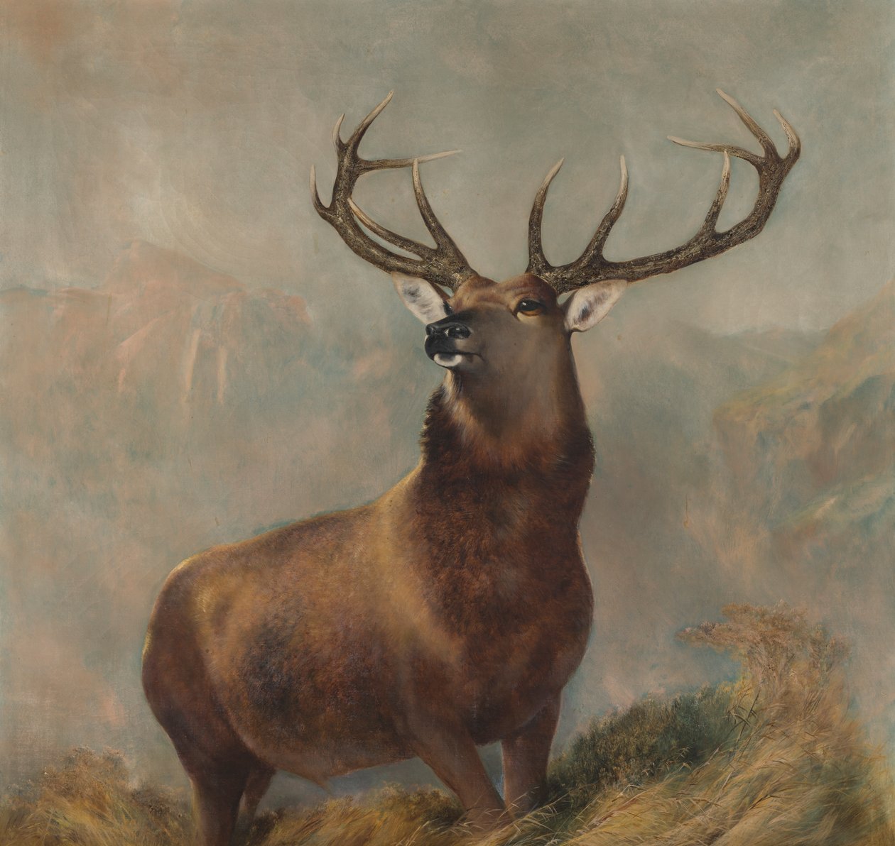 The Monarch of the Glen, ca. 1822-73 (olie på lærred) af Edwin (after) Landseer