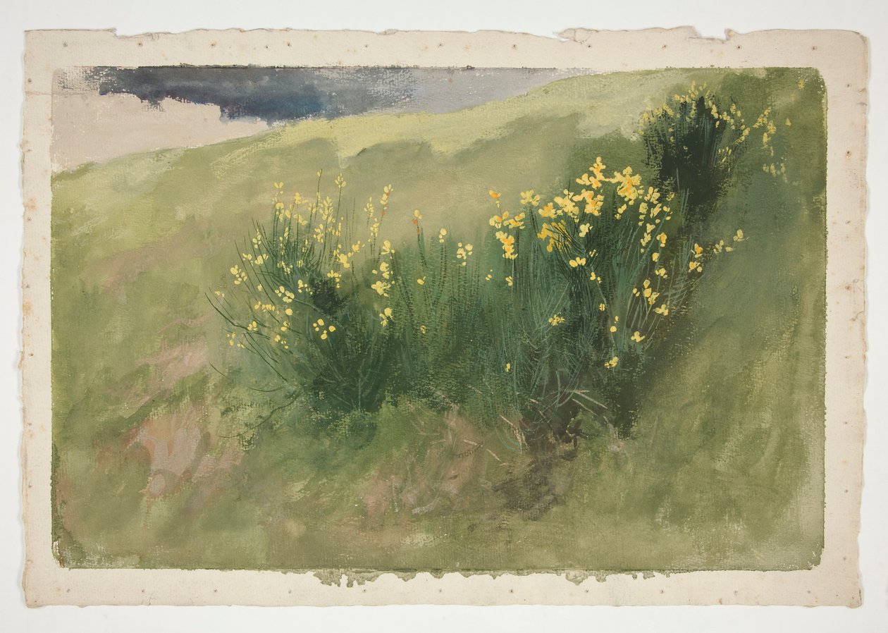 Landskab med vilde blomster af Edwin Austin Abbey