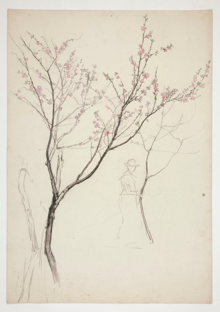 Studie af en figur under et blomstrende træ af Edwin Austin Abbey