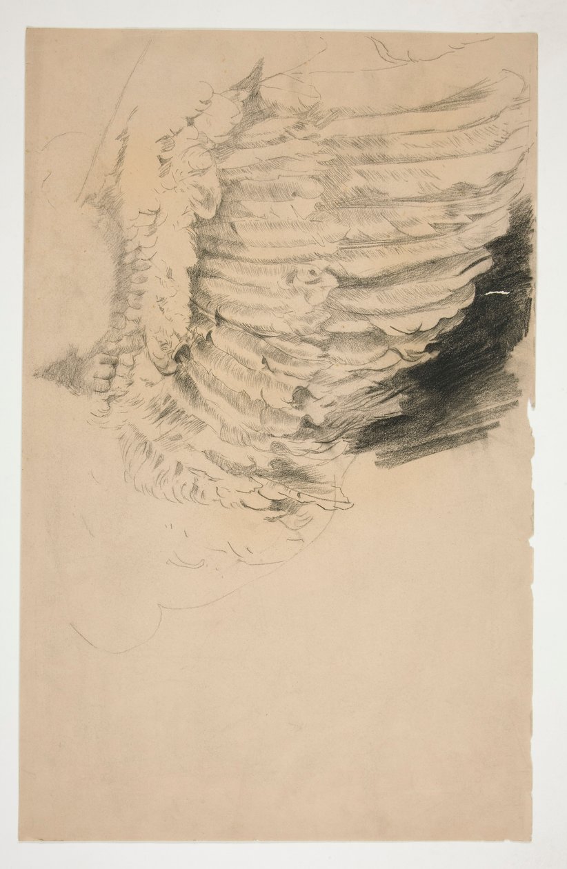Studie af en fløj, for af Edwin Austin Abbey