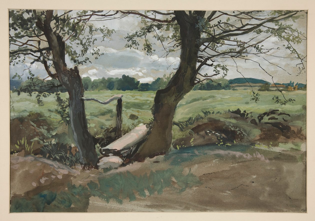Undersøgelse af to træer og en mark af Edwin Austin Abbey