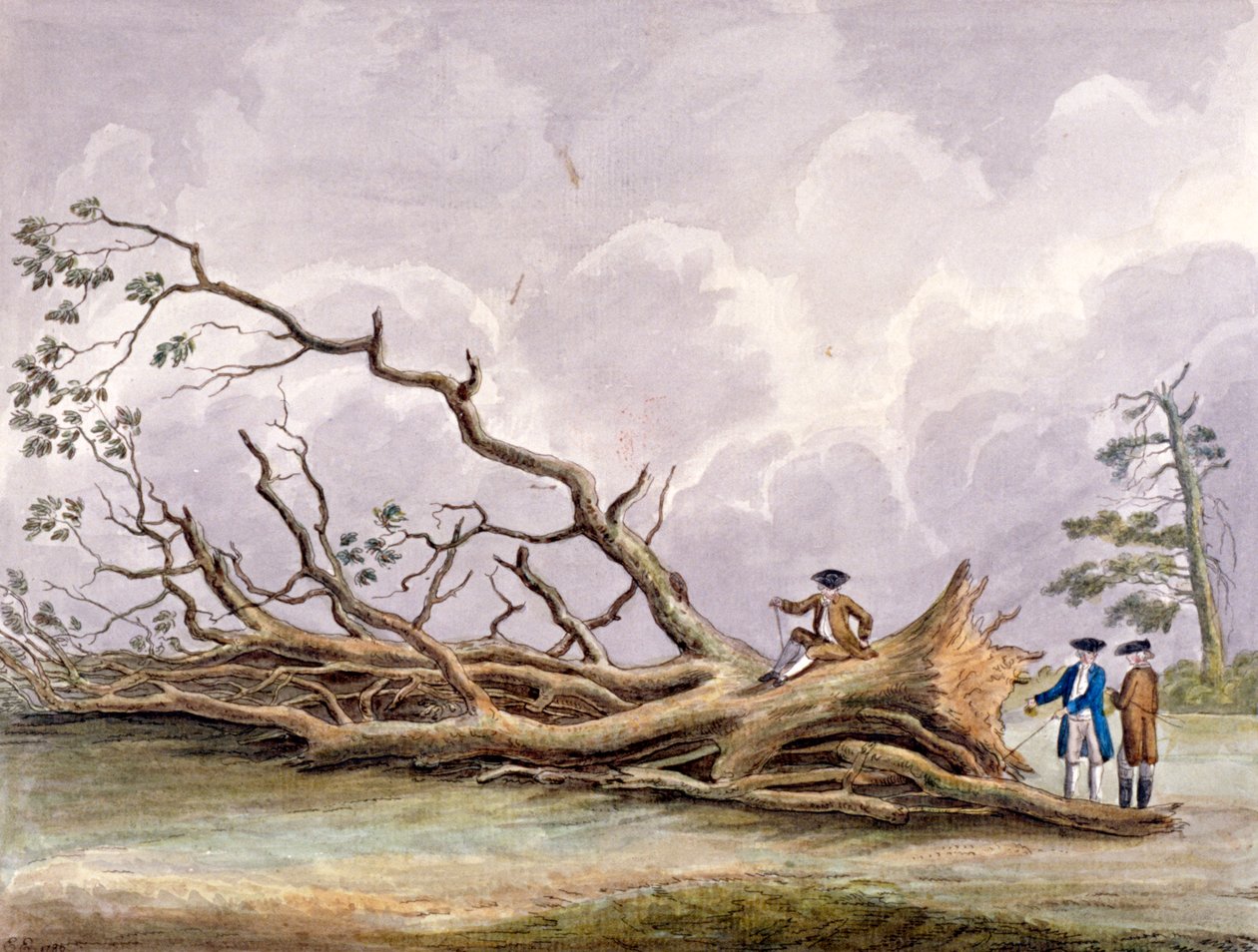 Træer beskadiget af en storm den 15. oktober, Roehampton, London, 1780 af Edwin Edwards