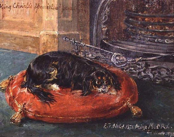 King Charles Spaniel i hvile af Edwin Frederick Holt