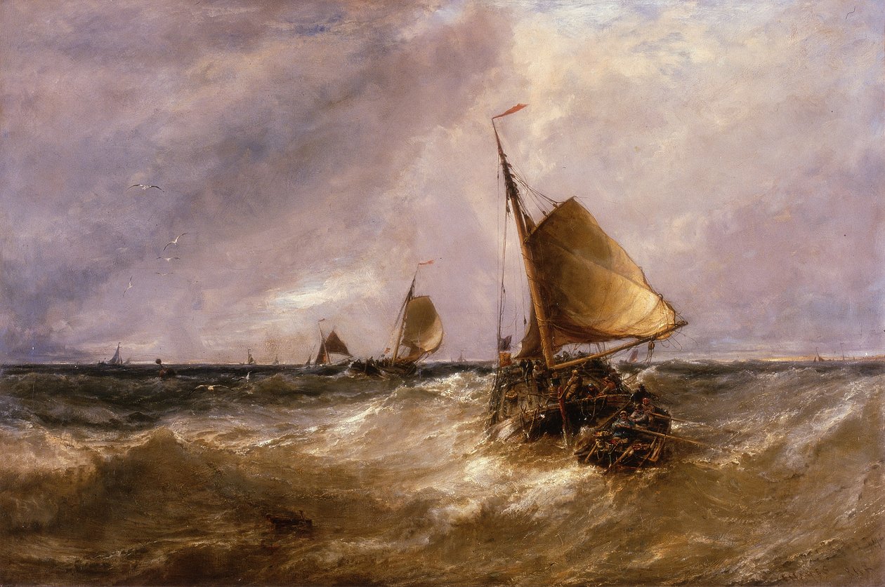 hollandske lyserøde af Edwin Hayes