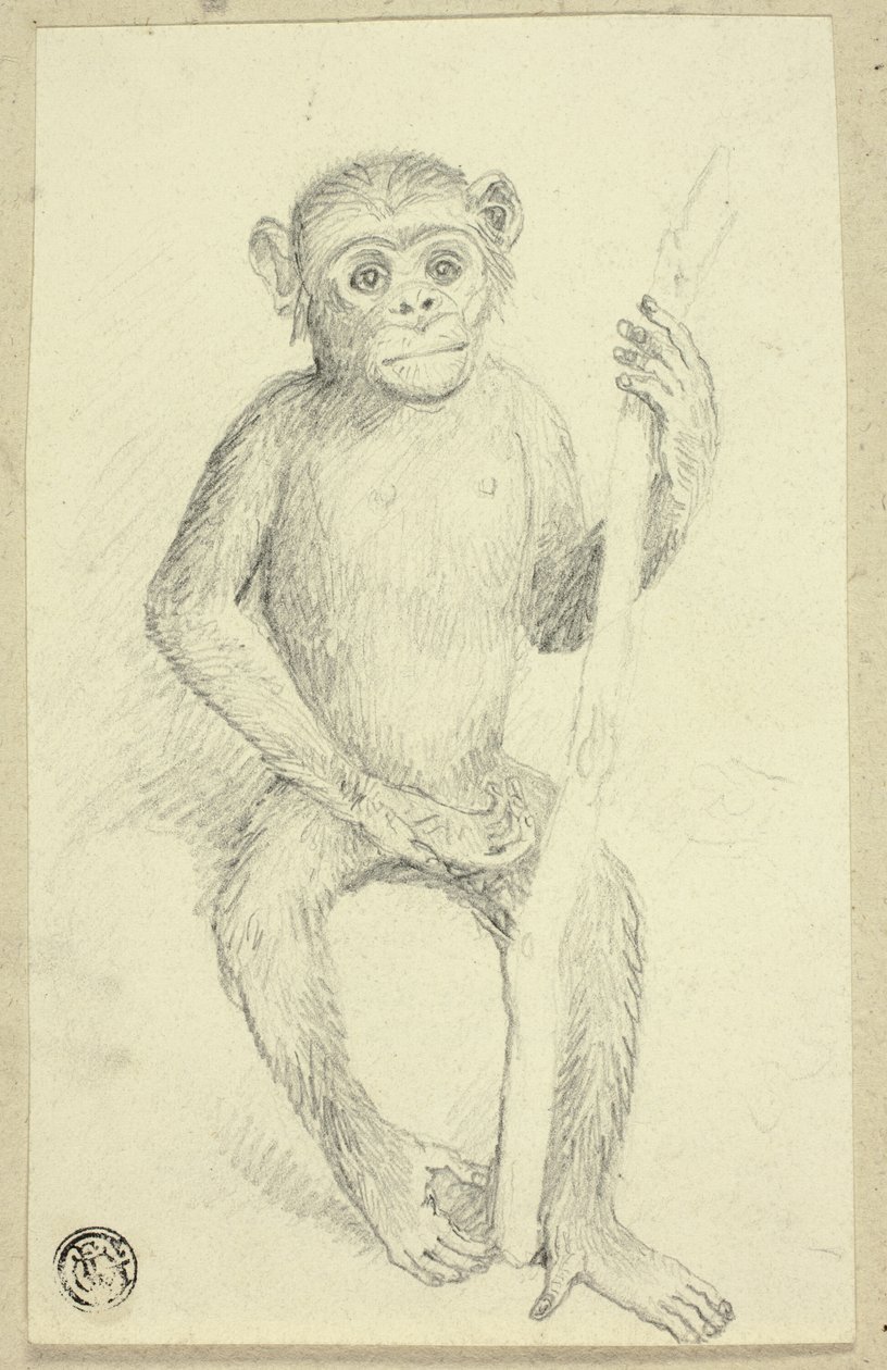 Orangutang af Edwin Henry Landseer