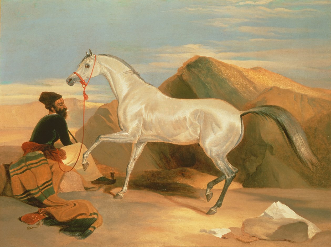 Arabisk hingst af Edwin Landseer