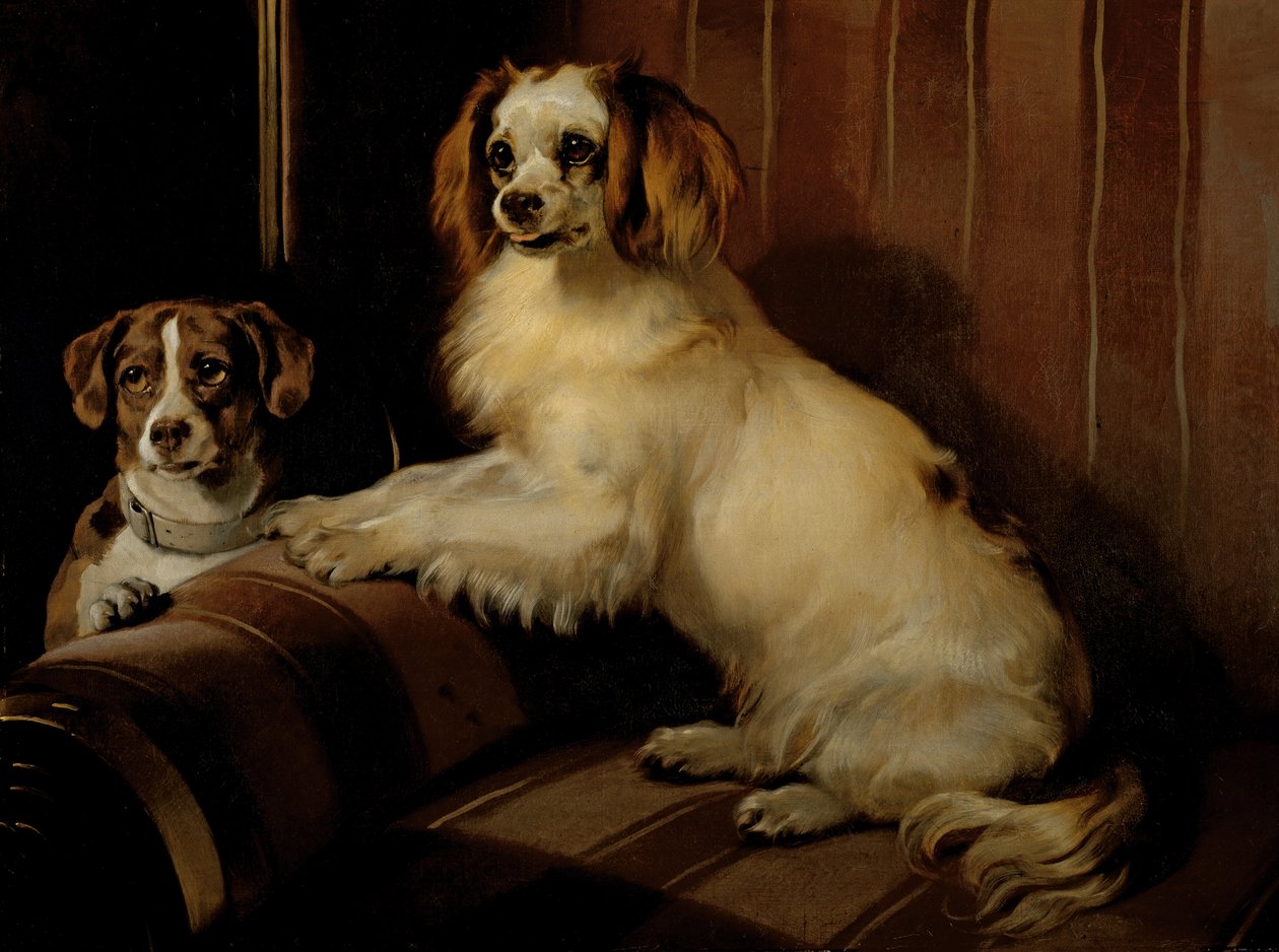 Bon(e)y og Var, ca. 1843 (olie på lærred) af Edwin Landseer