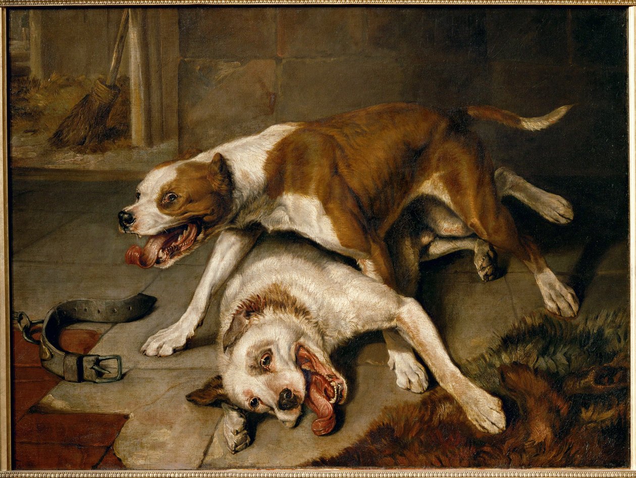 Chiens se battant, reprenant leur souffle - kamphunde, der holder pause for at trække vejret ... af Edwin Landseer