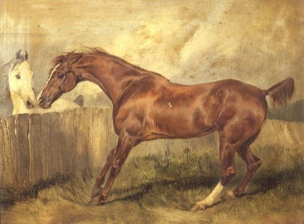Marianne, en yndlingsjæger af Edwin Landseer