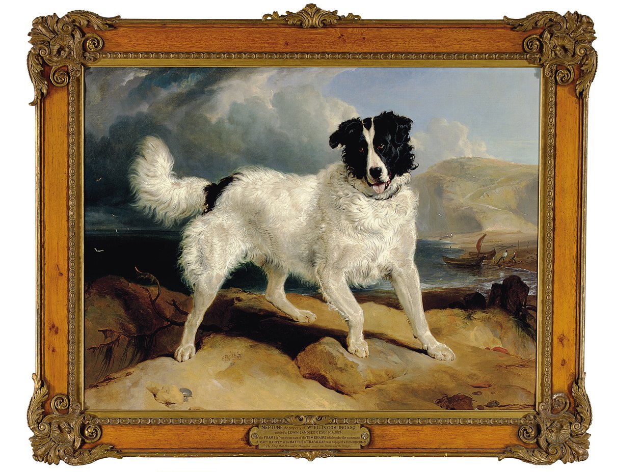 Neptun, ejendom af William Ellis Gosling, Esq., 1824 af Edwin Landseer