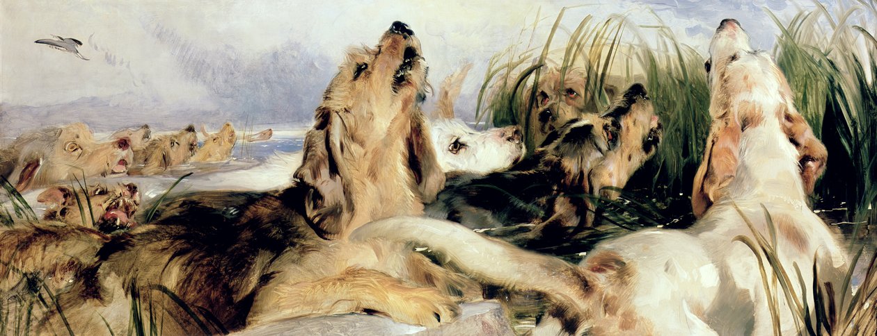 Otter Hounds af Edwin Landseer