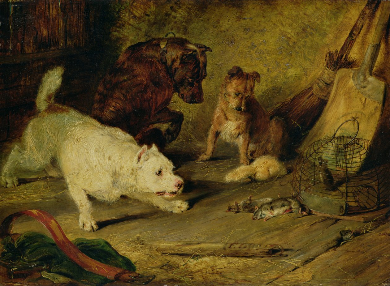 Rottefangere af Edwin Landseer