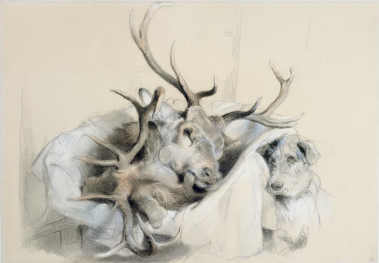 Hjortehoveder og hund, 1857 af Edwin Landseer