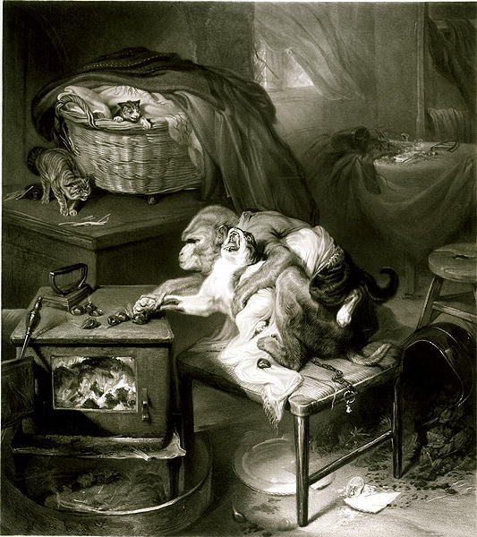 Kattens pote (gravering) af Edwin Landseer
