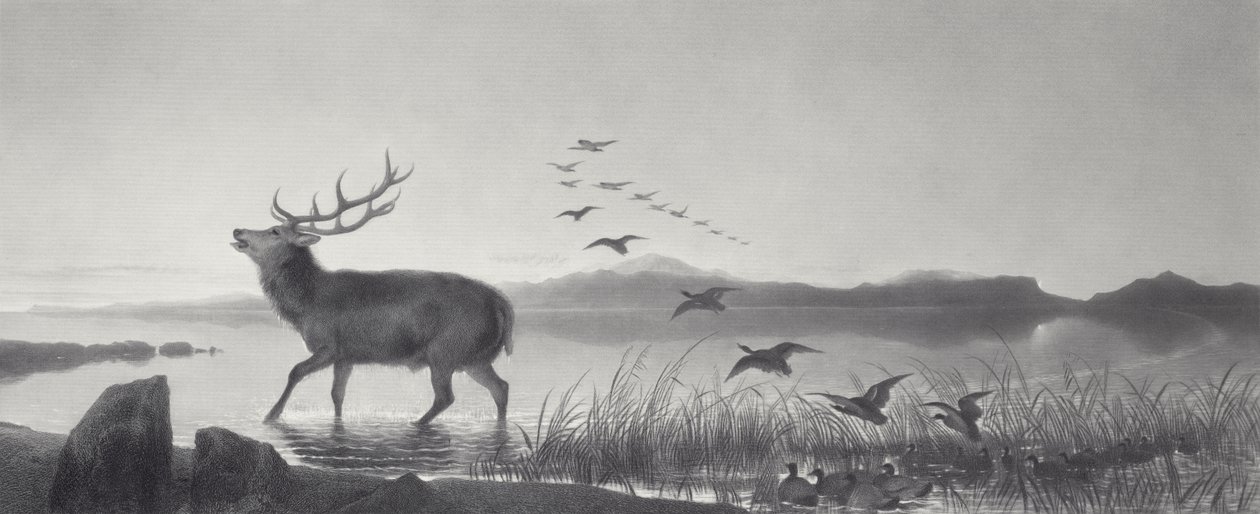 Redningen af Edwin Landseer